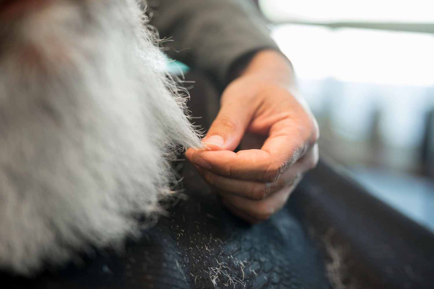 How to Get Dog Hair Out of Your Car (and Keep It From Coming Back)