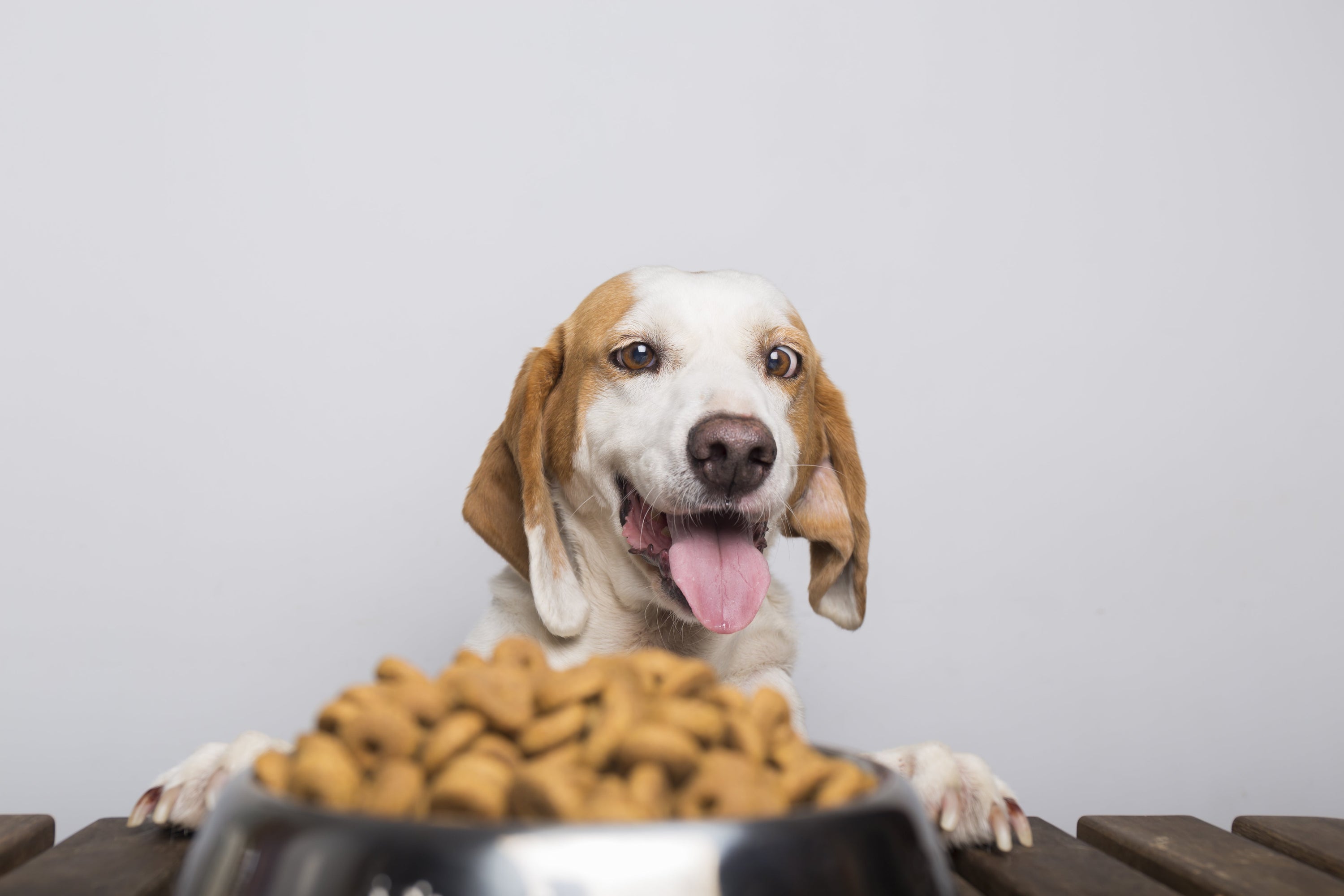 Is Peanut Butter Safe for Dogs? What Every Pet Parent Should Know